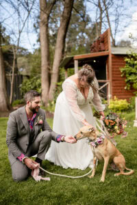 adelaide hills wedding venue inglewood dog ceremony