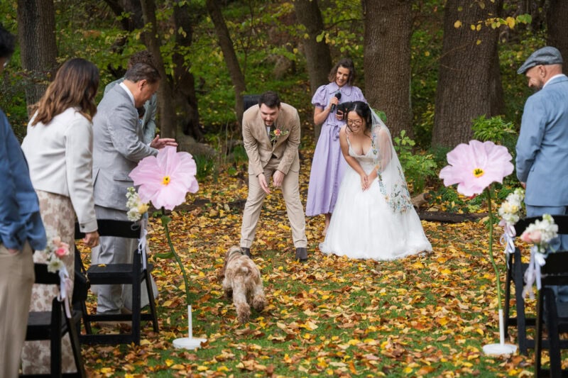 adelaide hills wedding venue inglewood pet friendly ceremony