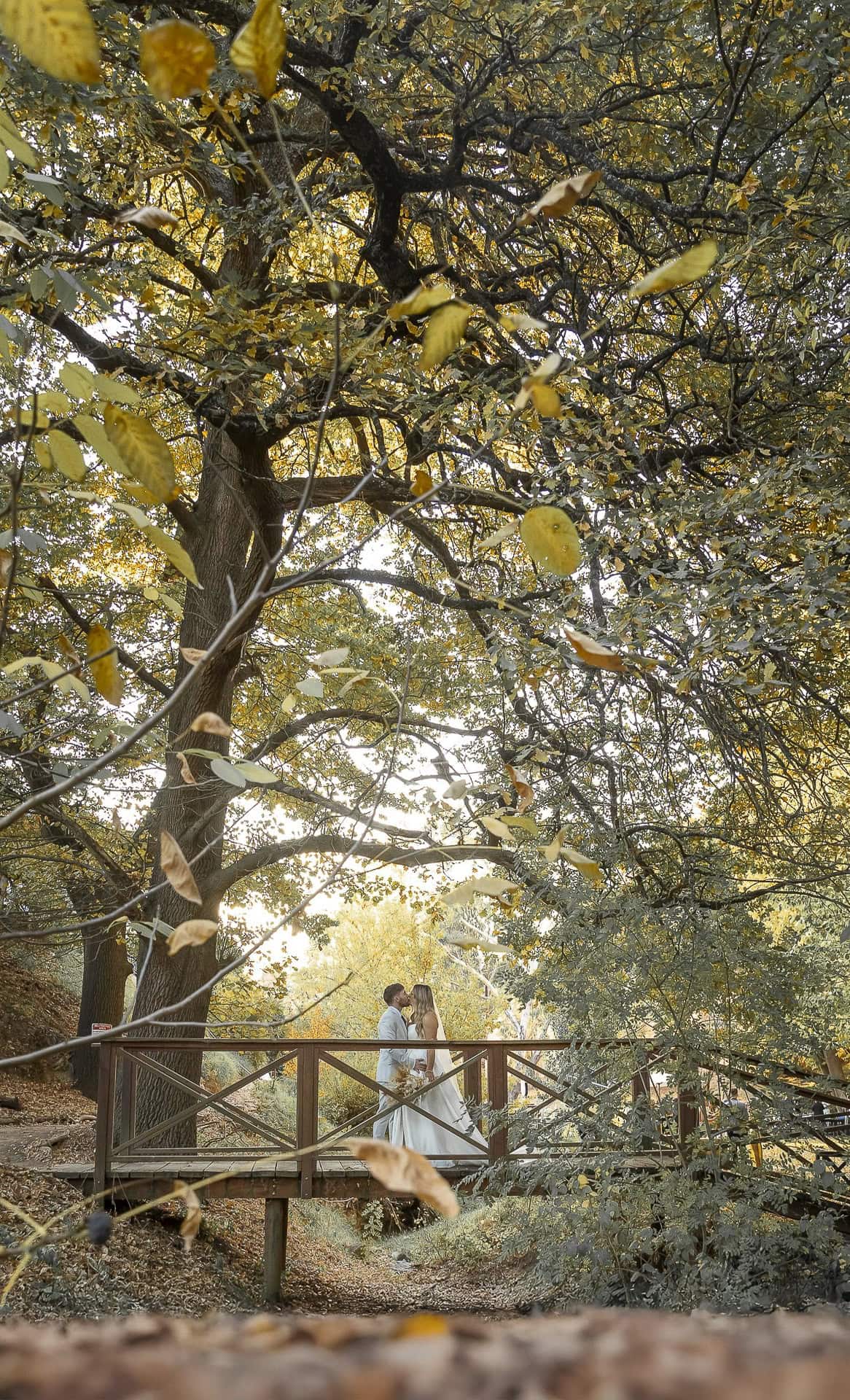 adelaide hills wedding venue inglewood winter photos